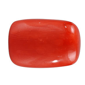 Red Coral or Moonga